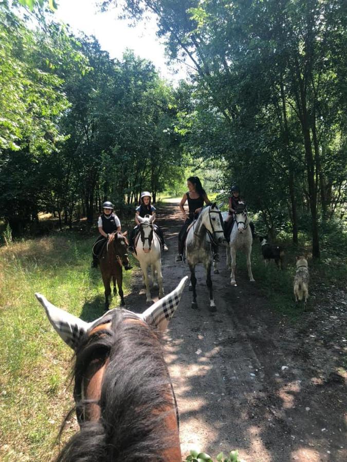 Pirola Music Ranch Guest House B&B Romano di Lombardia Εξωτερικό φωτογραφία