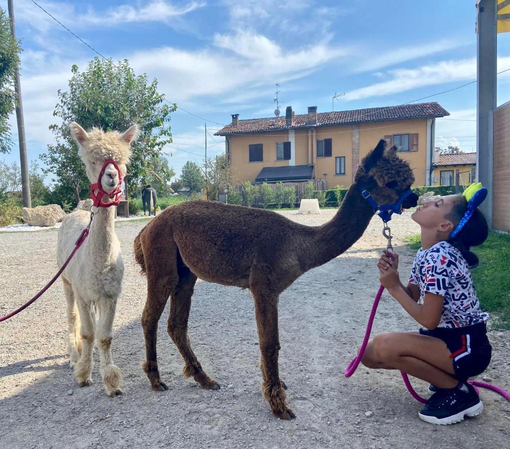 Pirola Music Ranch Guest House B&B Romano di Lombardia Εξωτερικό φωτογραφία
