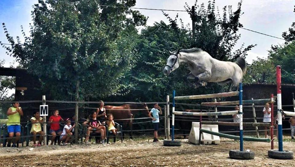 Pirola Music Ranch Guest House B&B Romano di Lombardia Εξωτερικό φωτογραφία